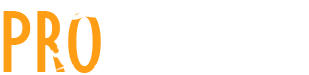 Pro Handyman Sugar Land TX